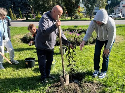 У Миргороді висадили молоді дерева в межах Європейського тижня мобільності