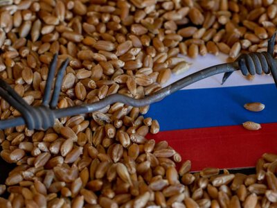 «Я попереджав». Естонія заборонила транзит зерна з росії й Білорусі через свою територію — голова МЗС