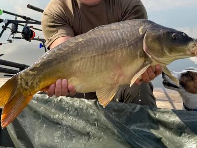 На Волині впіймали коропа-гіганта вагою 16 кілограмів