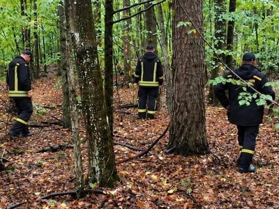  На Закарпатті знайшли чоловіка, який добою раніше зник у лісі 
