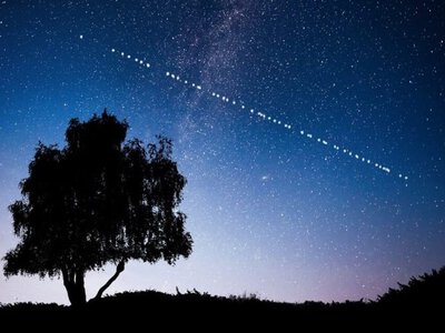 New York Post закликала Трампа посилити тиск на Маска через Starlink для України