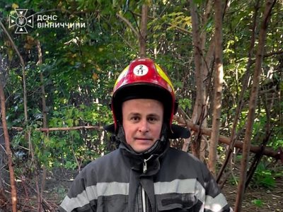 У Вінниці під час пожежі врятували 35 собак: одна тварина загинула