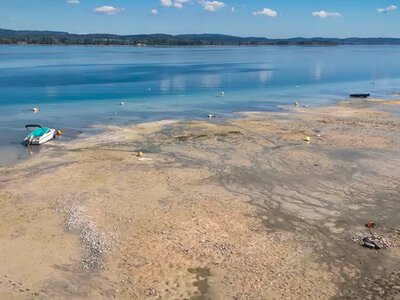 У Німеччині на Боденському озері через низький рівень води призупинили поромне сполучення
