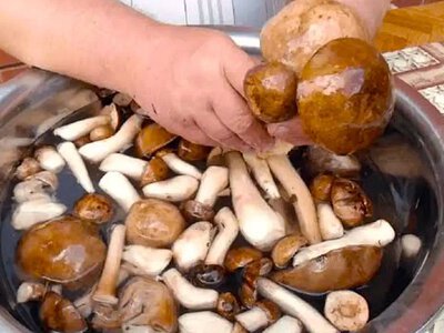 Простые способы быстрого снятия липкой пленки с грибов-Маслят