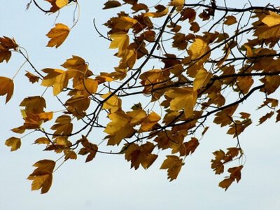 Без дощу, але з вітром: яка погода чекає на Одесу 2 жовтня
