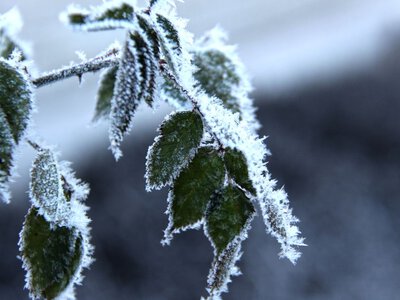 В Україні на початку жовтня вдарять заморозки до -3°: які області накриє похолодання