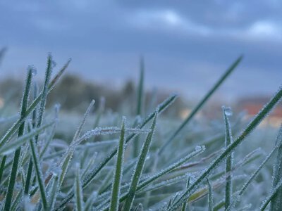 На Полтавщині вночі очікують заморозки