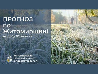 Прийдуть нічні заморозки до 2° морозу на Житомирщину.