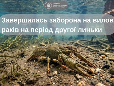 З 1 жовтня завершилася сезонна заборона на вилов раків
