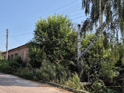 Може, нарешті щезнуть хащі в центрі Бердичева?