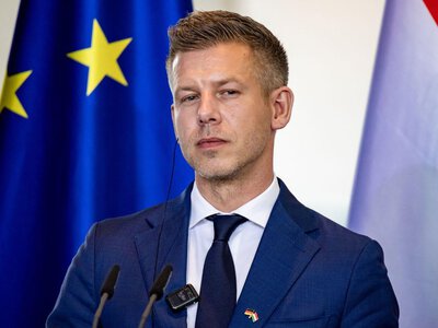 Законопроєкт про мови нацменшин вже у Раді: Угорщина похвалилась історичним успіхом