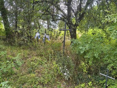 «Невже не можна обкосити це святе місце?»: жителька Малина про кладовище в Головках