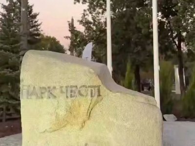 Понад 400 іменних дерев на честь полеглих Захисників: на Хортиці відкрили Парк Честі