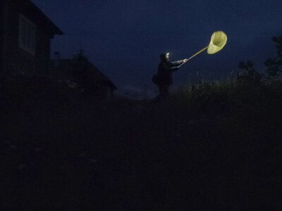 Фільм «Ілюзія тихої ночі» Ольги Черних увійшов до програми фестивалю IDFA