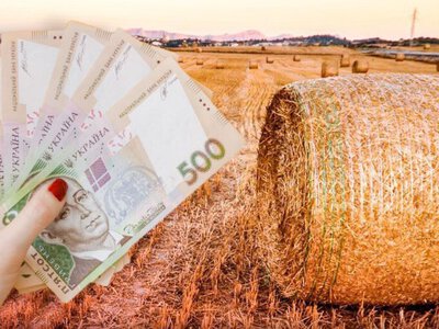 Українська земля дорожчає: скільки тепер доведеться заплатити за гектар