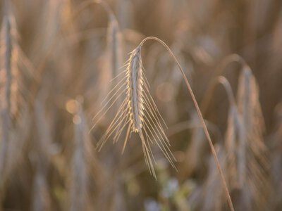 Україна експортує лише половину агропродукції через блокаду портів