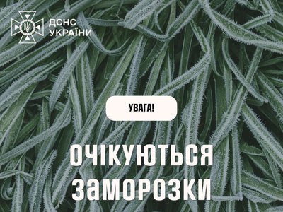 Увага, заморозки!