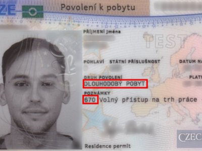 У Чехії 38% українських родин виконали умови для отримання ZDP: що робити далі