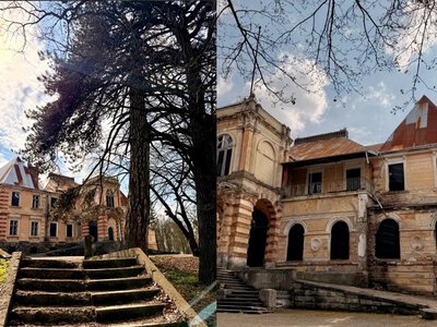 На Львівщині палац Жевуських-Лянцкоронських планують відновити за €15 млн і відкрити ресторан та винарню
