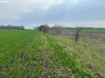 На Запоріжжі громаді повернуть 27 гектарів території заказника