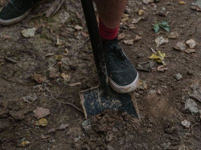 Чи потрібно перекопувати город на зиму: дачникам дали несподівану відповідь
