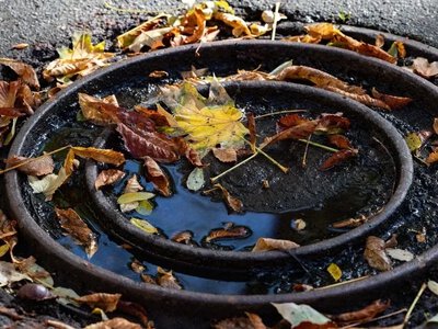 Погода на Херсонщині 4 жовтня 2026: без опадів, до +22°С