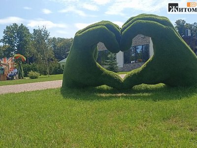 Школярі села на Бердичівщині зібрали майже 45 тисяч гривень для військових