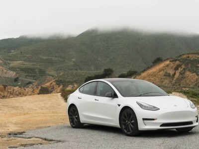 Автопілот Tesla зіткнувся з несподіваним випробуванням на гірській дорозі (відео) (Відео)