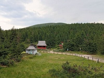 До +24° та без опадів: якою буде погода на Закарпатті 28 вересня