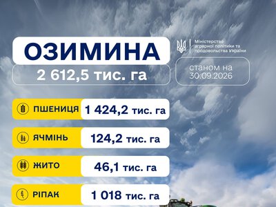 Посівна озимини: засіяно майже 1,6 млн гектарів зернових, Миколаївщина – в лідерах