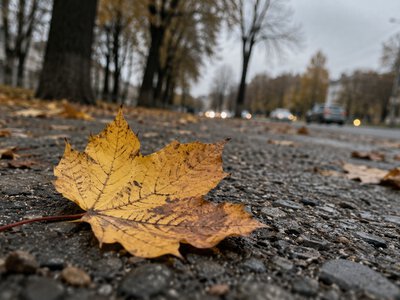 Прогноз погоди у Дніпрі на сьогодні, 4 жовтня 2026