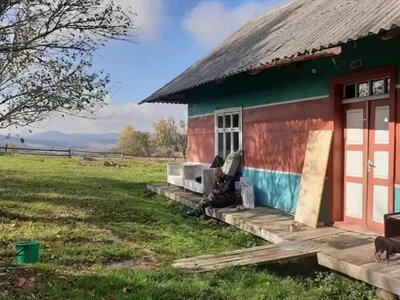 «Моя найбільша помилка»: жінка купила сільську хату за $19 тисяч