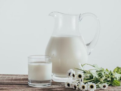 З чим не варто поєднувати молочні продукти: поширені помилки в харчуванні