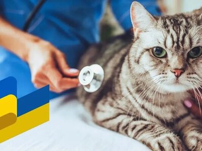 Свято 4 жовтня 2026 — День ветеринарної служби МВС України