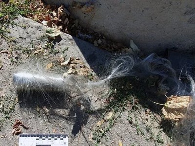 Російський дрон поранив 57-річного чоловіка в Центральному районі Херсона
