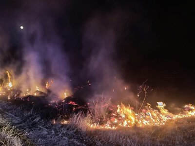 До 6 жовтня на Закарпатті прогнозують надзвичайну пожежну небезпеку