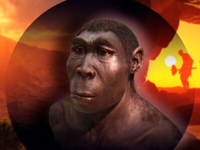 Homo erectus виявився на 200 тисяч років старшим: у Південній Африці знайшли рештки дорослого предка