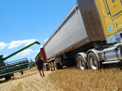 Польща і Румунія відмовилися збільшувати транзит українського зерна
