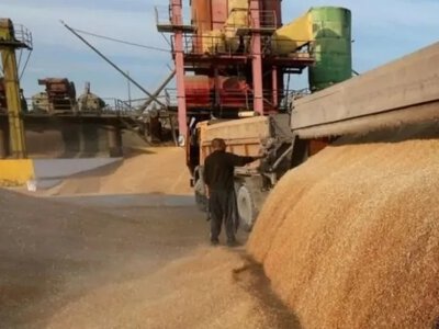 Польща та Румунія відмовилися збільшувати транзит українського зерна
