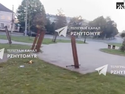 «Лавку закинули на дерево»: у сквері на Короленка в Житомирі влаштували погром