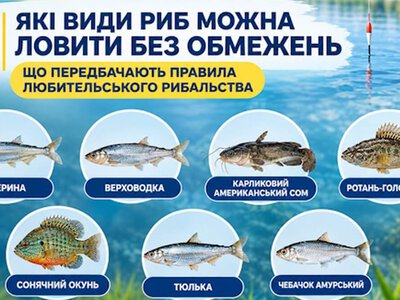Види риб на Дніпропетровщині без обмежень за кількістю вилову