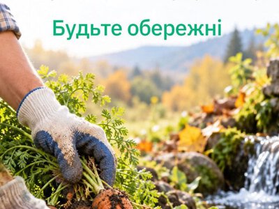 На Львівщині зафіксували два випадки лептоспірозу