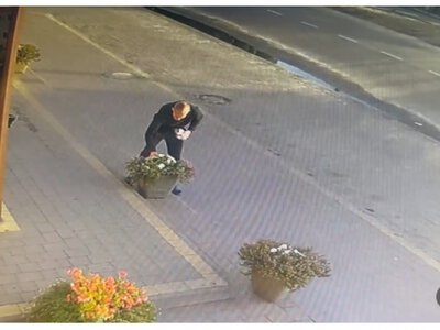 У центрі волинського селища чоловік обірвав клумби (Відео)