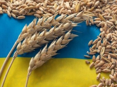 Румунія та Польща відмовляються розширювати можливості для експорту українського зерна
