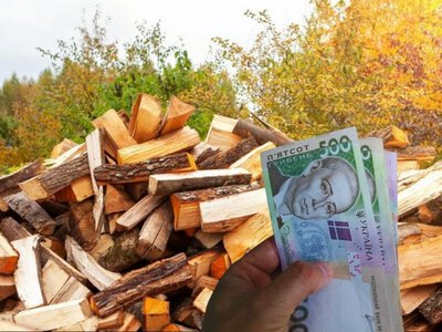 Субсидія на дрова та вугілля: хто може отримати до 9,2 тис. грн і як оформити