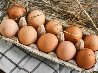 Стоимость куриных яиц в Харьковской области на рынках — РАСТЕТ