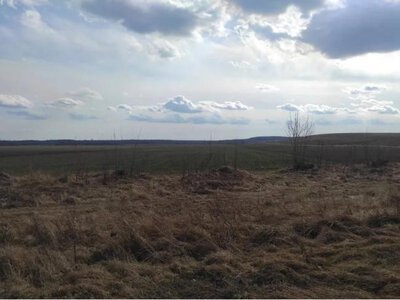 Більше 2 га землі в селі на Рівненщині продали за понад пів мільйона гривень