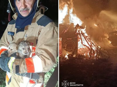 На Тячівщині під час пожежі рятувальники дістали з-під сіна трьох цуценят (ФОТО)