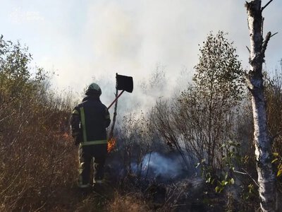 На Волині за день рятувальники ліквідували три пожежі в екосистемах