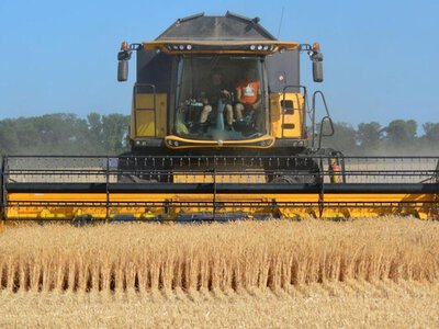 Польща і Румунія не хочуть збільшувати транзит зерна: в Україні можуть застрягти 35 млн тонн